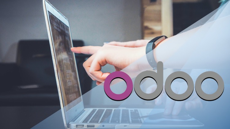 Odoo 17: CRM Basics